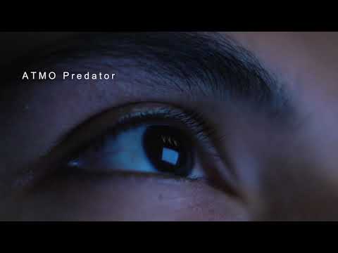 Free Download Crime Fundamentals For U-HE ZEBRA 2-FANTASTiC