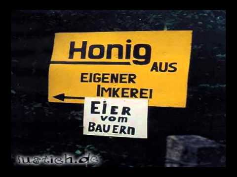 LWS Freistadt (Lied der Abendschule)