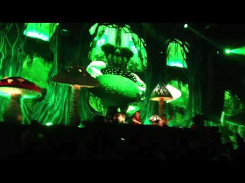 Dannic Live @ TomorrowWorld 2013 :: Dirty Dutch vs. Smash The House