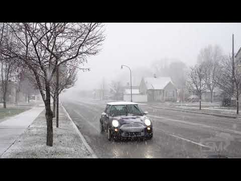 01-05-2020 Royal Oak, MI - Afternoon Heavy Snowsquall