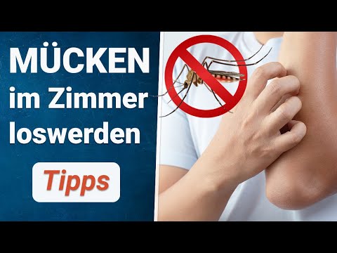 Mücken im Haus bekämpfen  ❌ Tipps gegen Mücken in der Nacht