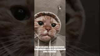 Download lagu STORY WA DJ QUOTES 30 DETIK TERBARU 2020 || STORY WA KEREN KEKINIAN mp3