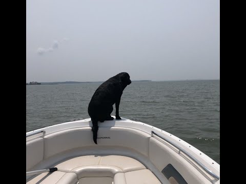 Don and Diane Shipley LIVE - July25th 2000 EST Thumbnail