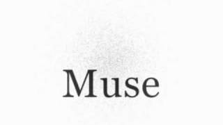 Muse - Shrinking Universe