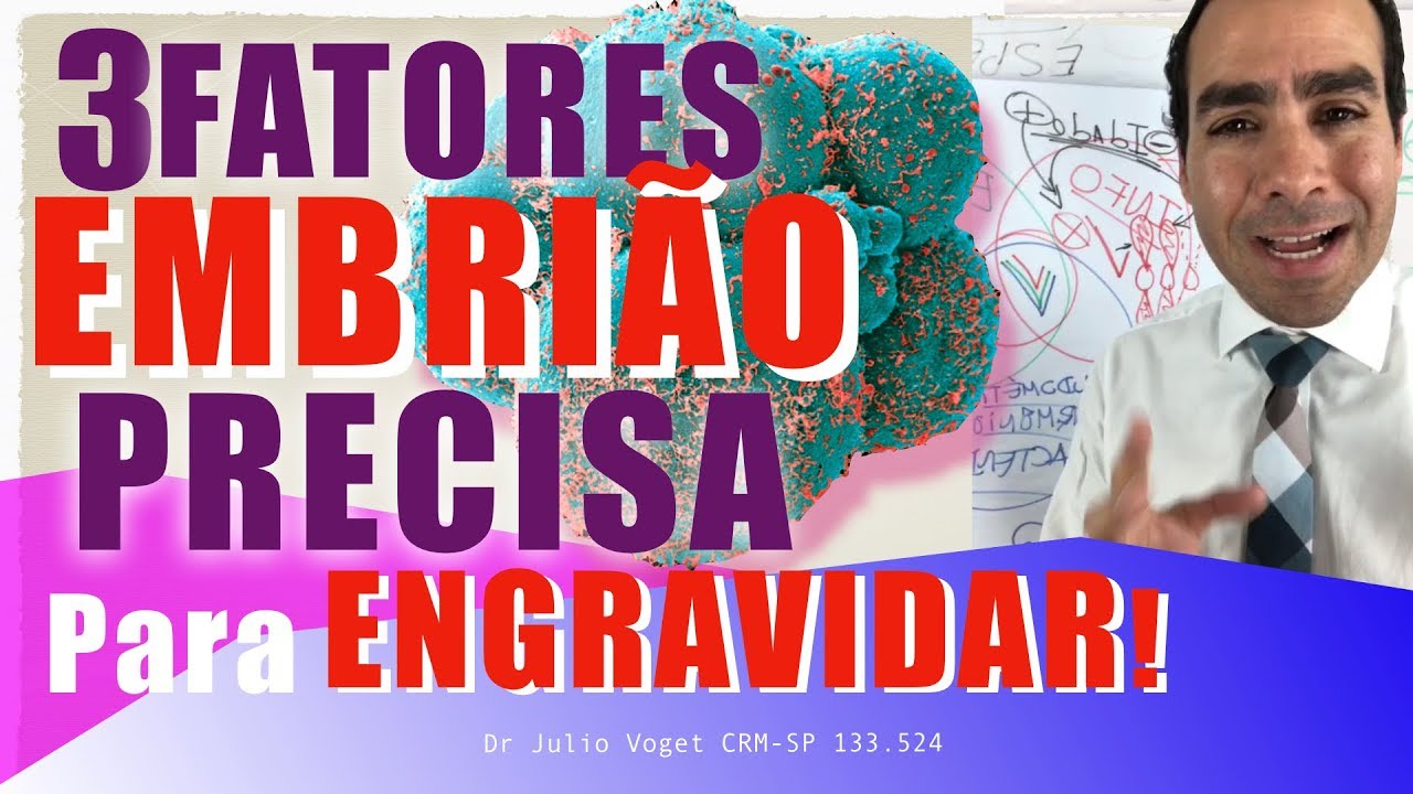 Os 3 FATORES que teu EMBRIÃO PRECISA TER para ENGRAVIDAR!