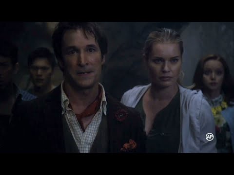 Dezlegăm misterul din spatele cărţilor împreună cu „Bibliotecarii”, la TVR1