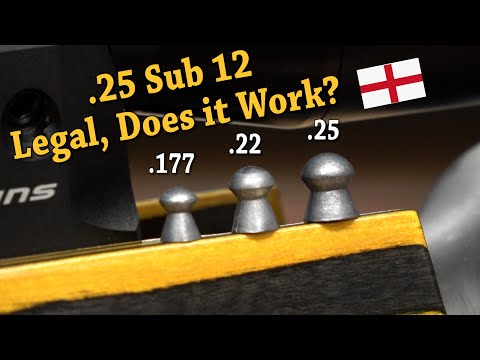 .25 Sub 12 Ft Lb Airgun Legal Science Experiment - Does it Work?