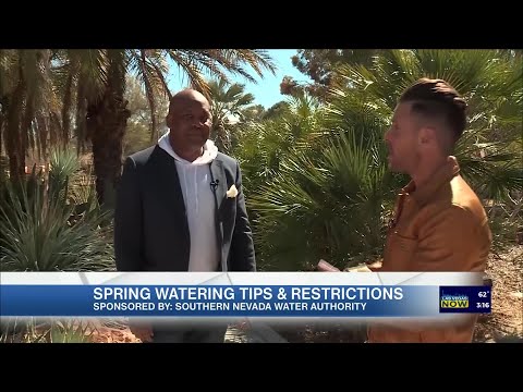 Spring watering restrictions are in place with Southern Nevada Water Authority