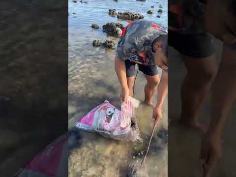 Amazing Cast Net Fishing Skill Catch Giant Fish -Awesome Traditional Net Fishing on The RiverPart 15