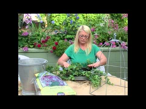 download lagu mp3 mp4 Diy Birdcage Planter, download lagu Diy Birdcage Planter gratis, unduh video klip Diy Birdcage Planter