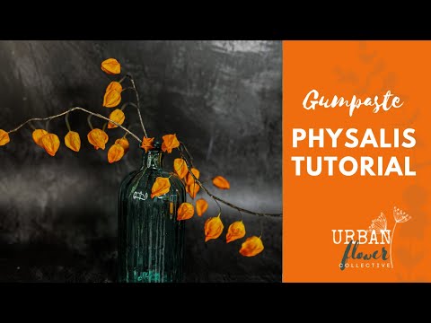 How to make gumpaste / flower paste / sugar  Physalis (Chinese Lanterns) a step by step tutorial