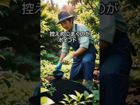 果樹を遅霜から守るにはどうすればよいですか？魔法のヒントとコツ！  庭園