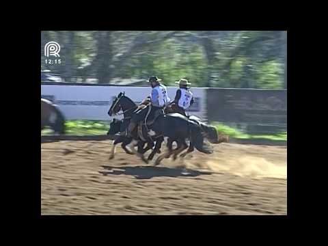 Chapecó – 2° lugar fêmeas – Hierba Buena da Maior