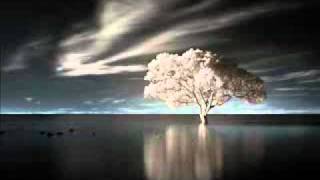 Rothko - To Other Horizons (A Continual Search For Origins)
