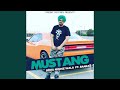 Mustang Feat Banka
