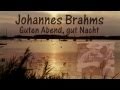 Guten Abend, gut Nacht - Johannes Brahms ...