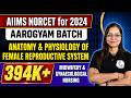 Anatomy Physiology Of Female Reproductive System AIIMS Norcet