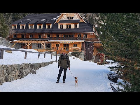 Ráno s fenkou Pampi v Tatrách je vlastne ako každé iné 🏞🏕🙃#pampi #tatrymountains #tatry