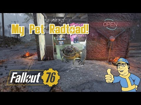 Fallout 76 My Pet Radtoad! Taming & Sending Animals Back To C.A.M.P