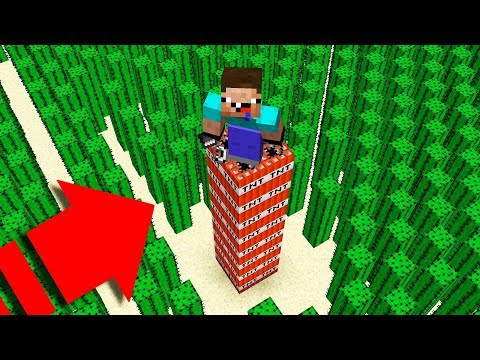 NOOB ÖLÜMCÜL TUZAĞA DÜŞÜYOR! - Minecraft