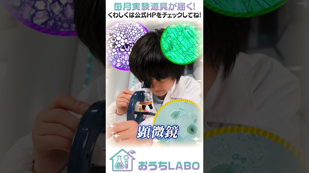 家が本気の実験室になる！？【限定300個】おうちLABO始めました！