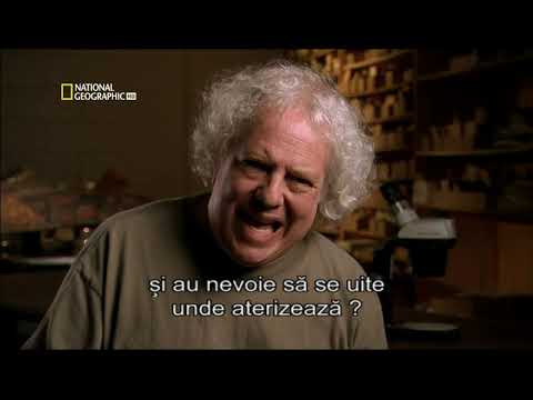 Erich Von Daniken  - UFO cd.2