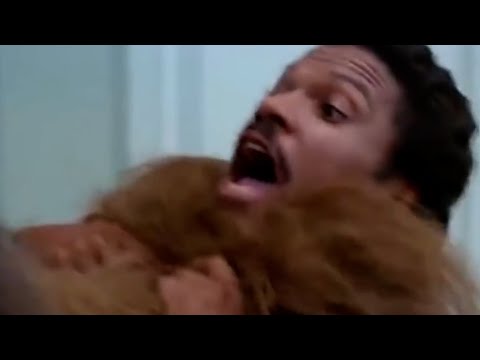 When you don't let the Wookie win