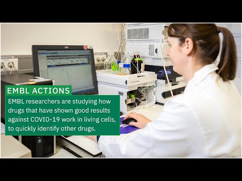 EMBL researchers identifying how potential drugs work in the fight against COVID-19