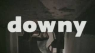 Cover art for downy - 左の種