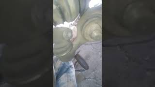 Cambio ruleman Ford Escort 90
