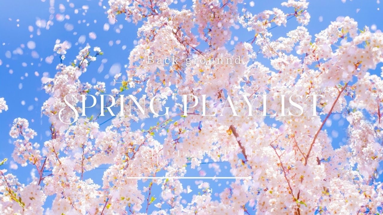 ［playlist］🌸春の陽だまりで聴きたい｜最高に心地よい極上のChill音楽  Spring Mix 2026 Background Music ︱かけ流し︱60分耐久｜著作権フリー︱途中広告なし