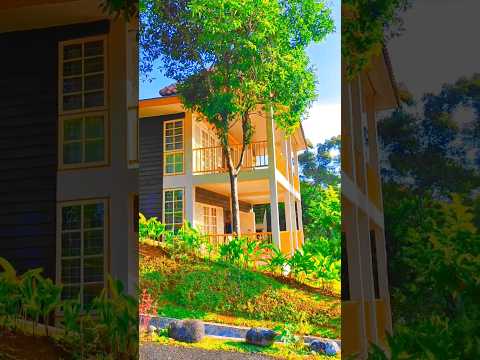 Hotel Deli River Omlandia