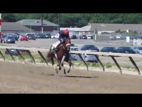 Wicked Strong breezes at Belmont Park June 1