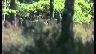 I meant to do my work today