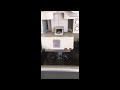 Video abspielen