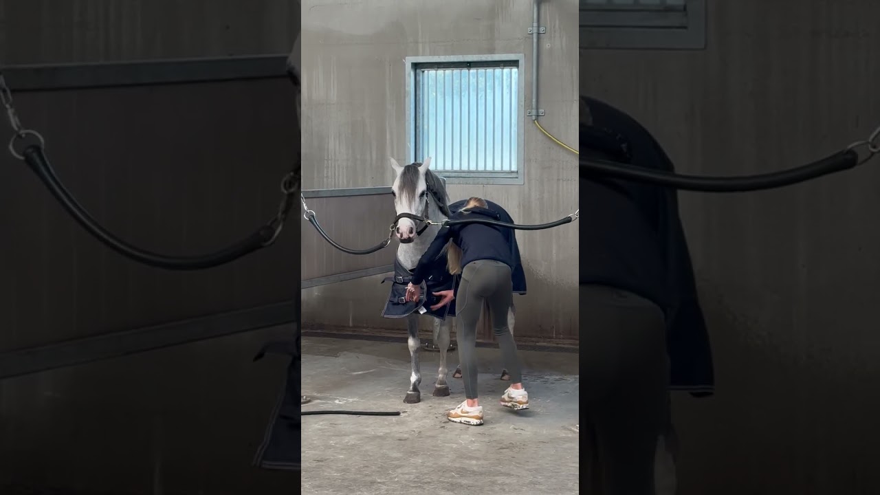 Ruiten A George video 2