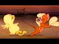 Tom And Jerry Fine Feathered Friend Episode 8 Tom And Jerry Cartoon IUKeiTv