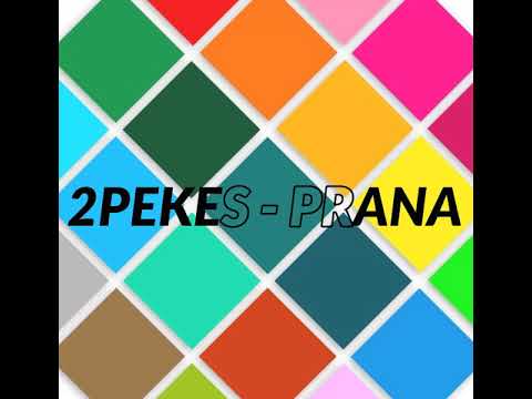 2PeKes - PRANA