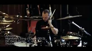 Amorphis Nightbird&#39;s song