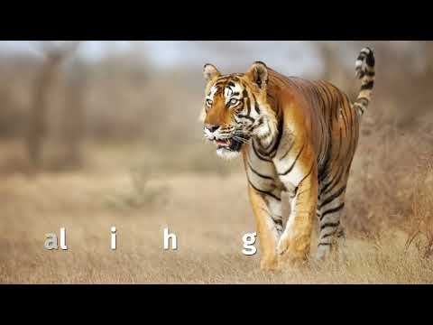 Welcome to Rajasthan