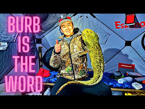Epic Ice Camping Adventure: Burbot Beatdown on Lake Diefenbaker