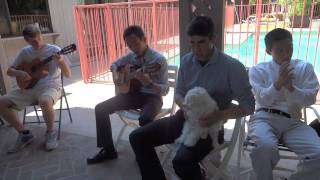 Splendid Church Life