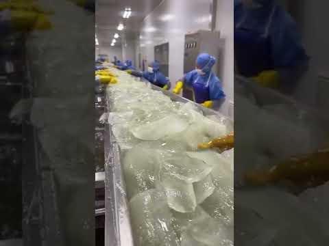 Aloe vera cosmetic production process