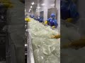 Aloe Vera Cosmetic Production Process