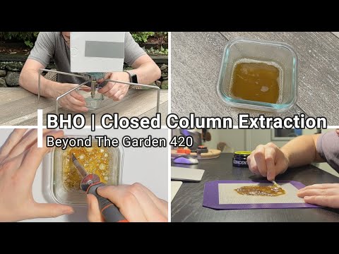 BHO Extraction (#4)