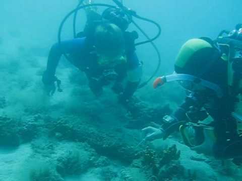 Insel Cres, Diving Center Cres, Tauchen mit Meeresbiologin, Insel Cres,Kroatien