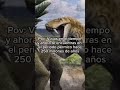 POV Estas En El Periodo Pérmico Shorts Dinosaurios Prehistoria Voids