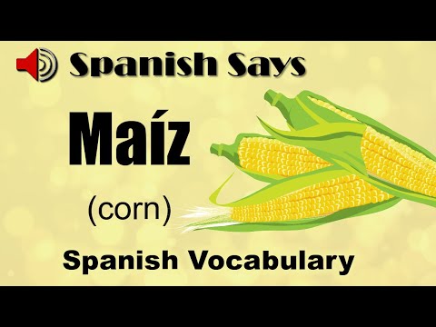 Maíz: How to Say / Pronounce Maíz - Corn in Spanish | Spanish Says
