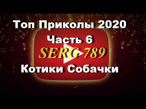 🔴Топ Приколы 2020 Коты Собаки(Часть 6)✅ 🙂 👍 🐱 🐶