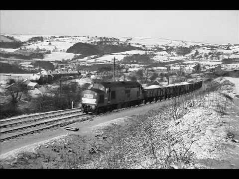 A Tribute to The English Electric Type 3 - Class 37's